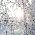 Arctic Shaman Adventures -jurtta * Köngäs