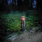 Arctic Shaman Adventures -jurtta Köngäs
