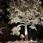 Arctic Shaman Adventures -jurtta * Köngäs