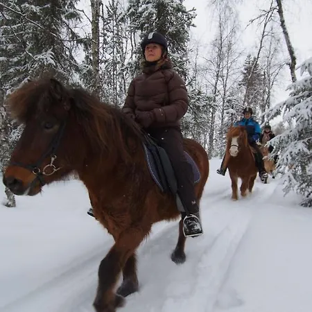 Arctic Shaman Adventures -jurtta Värdshus Köngäs