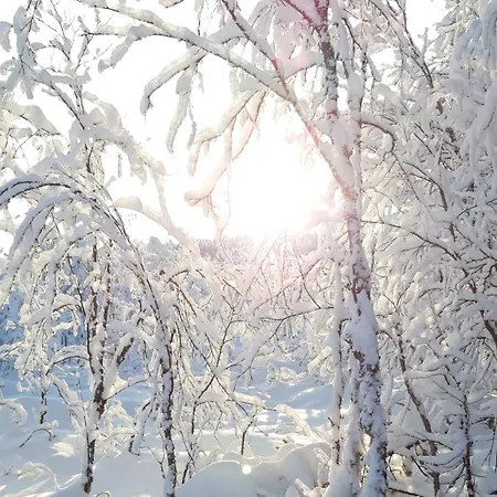 Arctic Shaman Adventures -jurtta * Köngäs