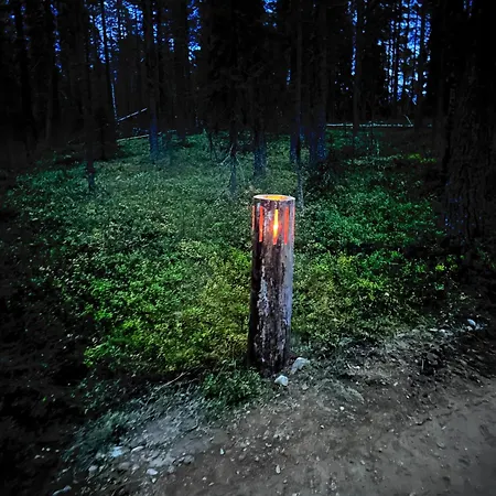 Arctic Shaman Adventures -jurtta Köngäs