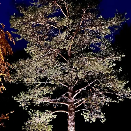 Locanda Arctic Shaman Adventures -jurtta