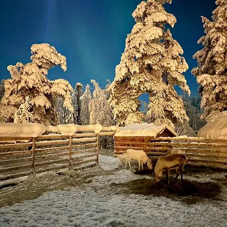 Locanda Arctic Shaman Adventures -jurtta *