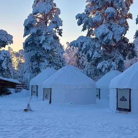Arctic Aurora Adventures & Inn Köngäs