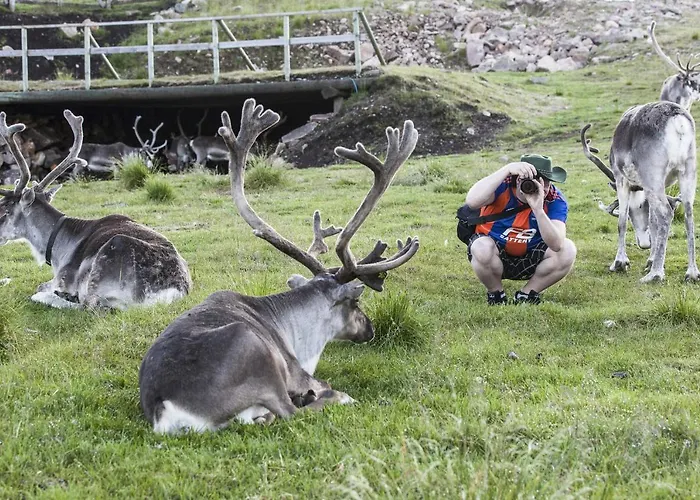 Kro Arctic Shaman Adventures -jurtta