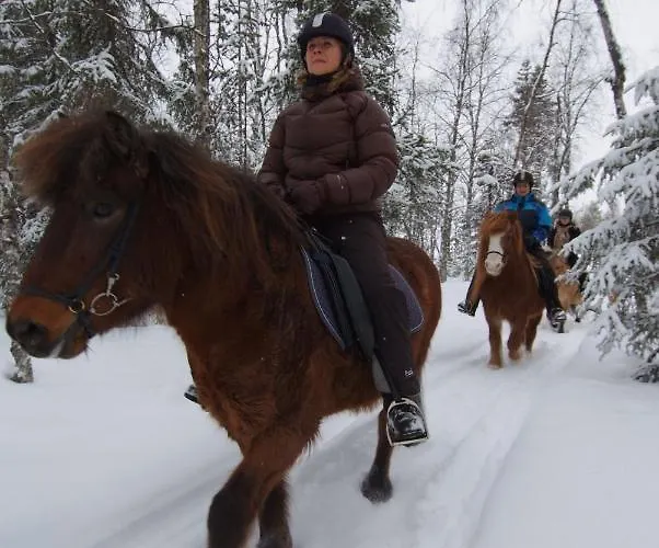 Arctic Shaman Adventures -jurtta Kro Köngäs