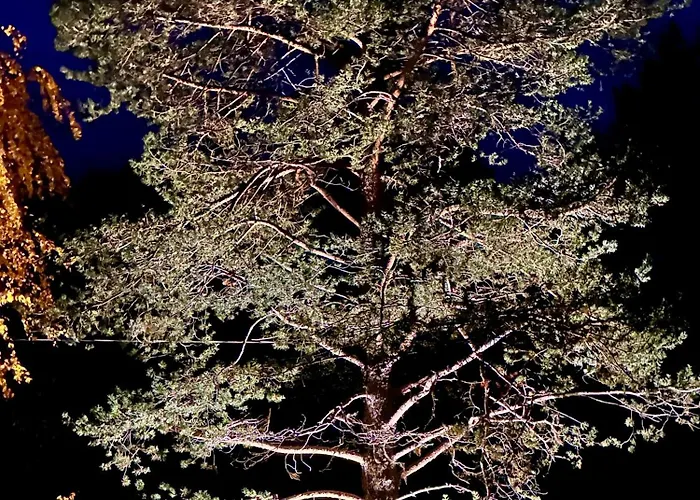 Kro Arctic Shaman Adventures -jurtta