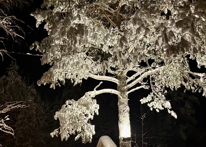 Arctic Shaman Adventures -jurtta * Köngäs