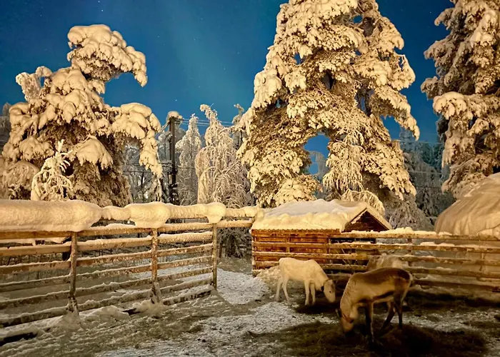 Kro Arctic Shaman Adventures -jurtta *